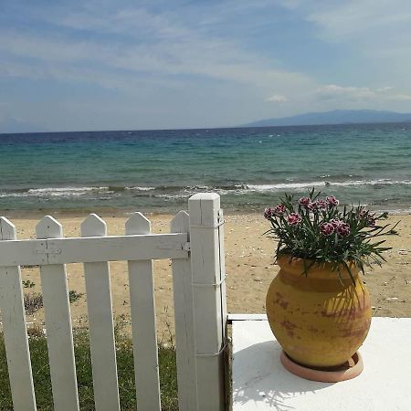 House Kokkalas On The Beach ปีร์กาดิเกีย ภายนอก รูปภาพ
